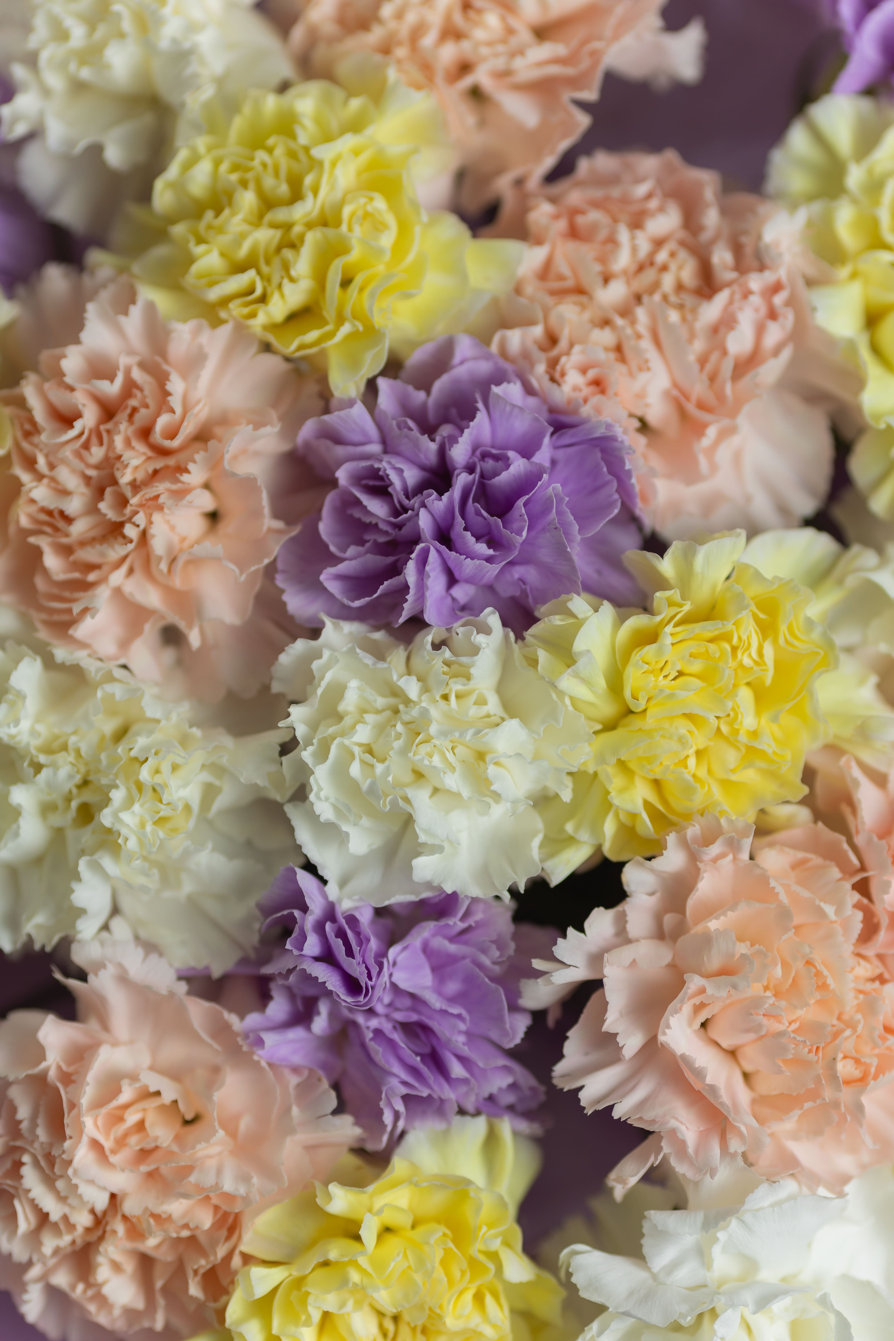 Яркий букет из диантусов